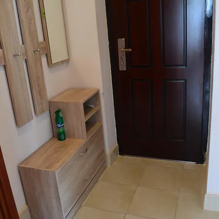 Bonne Chance * 索菲亞