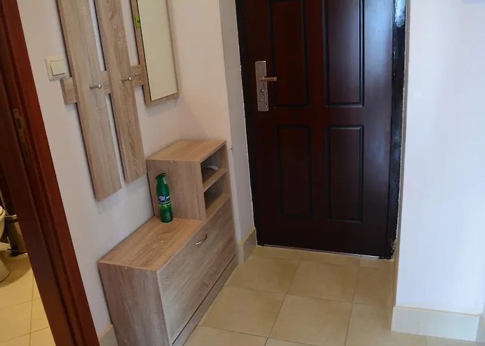 Bonne Chance * Sofia